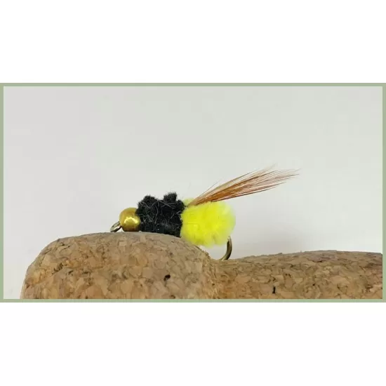 Yellow Winged Montana