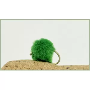 Green Egg Fly