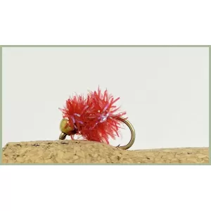 Goldhead Red Egg Fritz