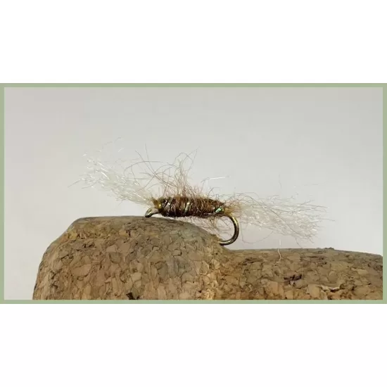 Brown Shipman Buzzer