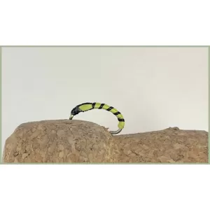 12 Buzzers - Tiger, Orange &  Red Cheek