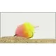 24 UV Tailed Blobs - Chartreuse, Orange, Pink, Orange/Yellow