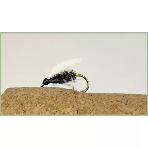 Coachman Wet Fly