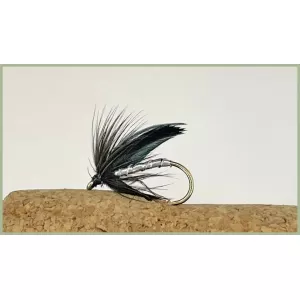 30 Random Wet Flies Boxed Set