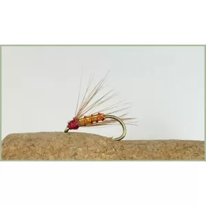 Brown and Red Spider Wet