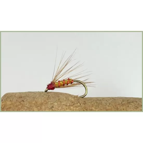 Brown and Red Spider Wet