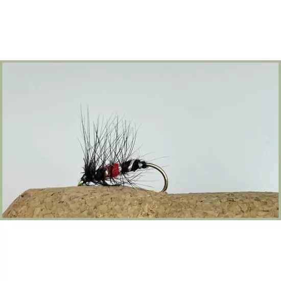 Bibio Wet Fly