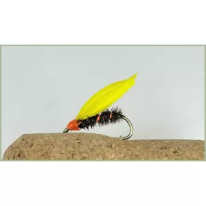 Yellow Cormorant Wet