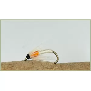 White and Orange Spider