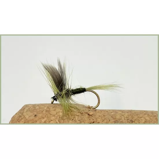 40 Olives Boxed Dry and Nymph