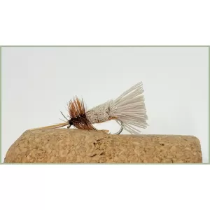 G & H  Sedge (Orange)