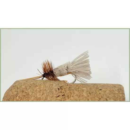 G & H  Sedge (Orange)