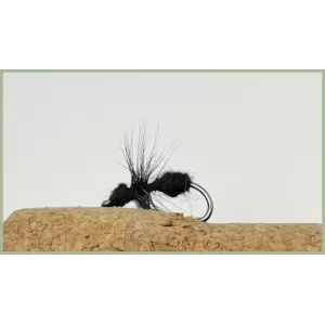 Black Ant - Traditional