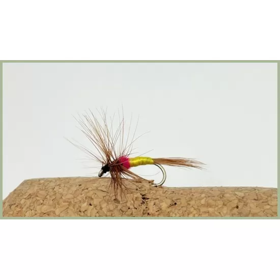 Tups Indispensable Dry