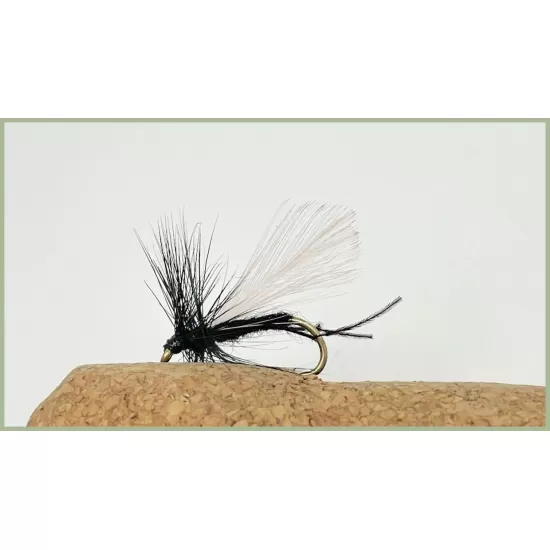 Barbless Hawthorn Dry