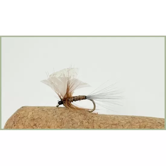 12 Dry Flies - Lunns Particular, Houghton Ruby, Spinners