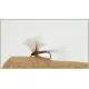 12 Dry Flies - Lunns Particular, Houghton Ruby, Spinners