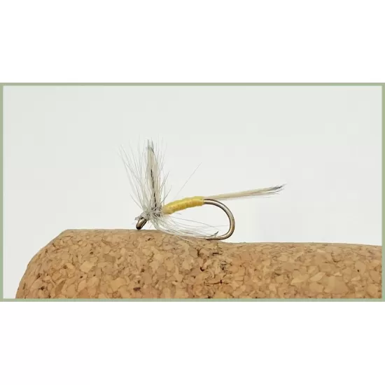 40 Boxed Drys Specific Patterns 