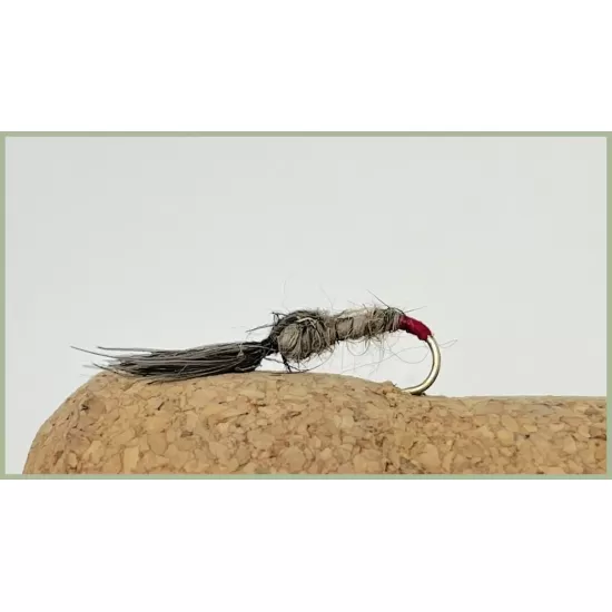 Hares Ear Shuttlecock