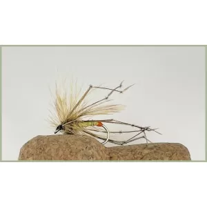 Orange Tip Daddy Long Legs