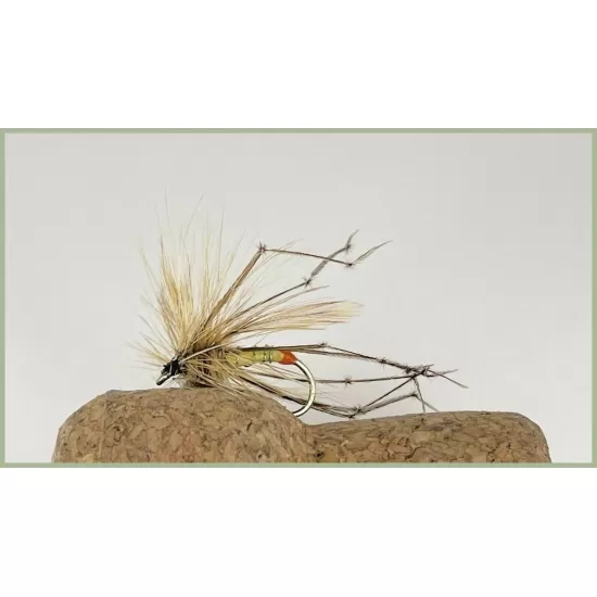 Orange Tip Daddy Long Legs