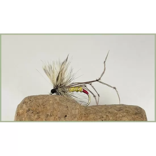 12 Coloured Tip Daddy Long Legs - orange, lime & red