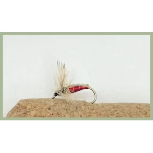 Morecambe Bay Sand Fly