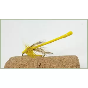Yellow Dragon Fly