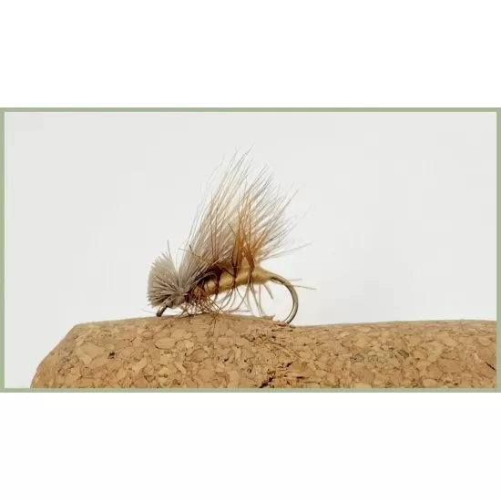 24 Sedge Flies Boxed Set