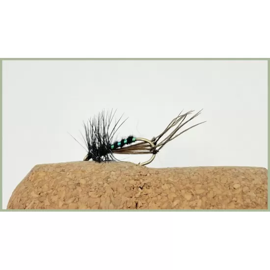 Black Hackled Hopper