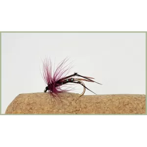 Claret Hackled Hopper