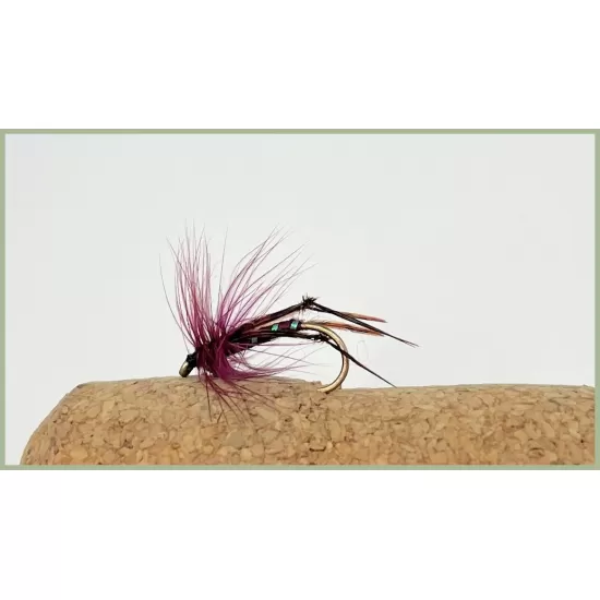 Claret Hackled Hopper