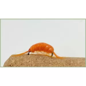 Barbless Orange Shrimp