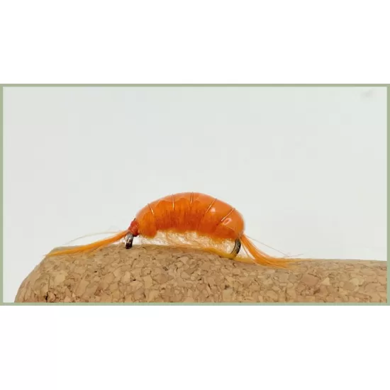 Barbless Orange Shrimp