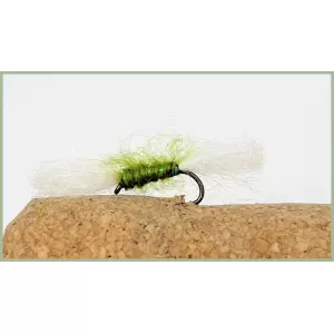 Barbless Olive Shipman Buzzer