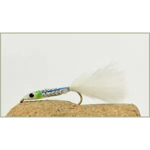 White Minnow Lime Ring Fry