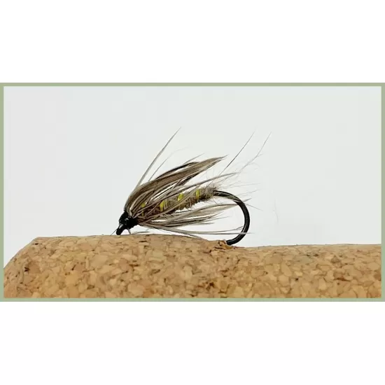 24 Barbless Wet Spider Box Set