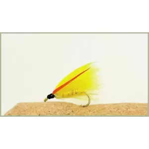 Mini Yellow Cormorant