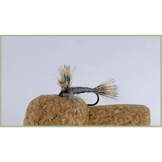 32 BARBLESS Wulff and Humpys - Boxed Set