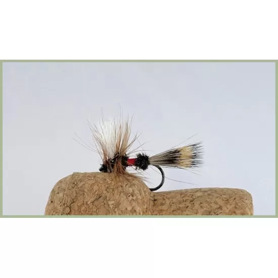 32 BARBLESS Wulff and Humpys - Boxed Set