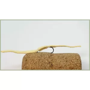 Barbless Chamois Worm