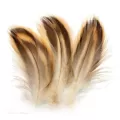 Feathers