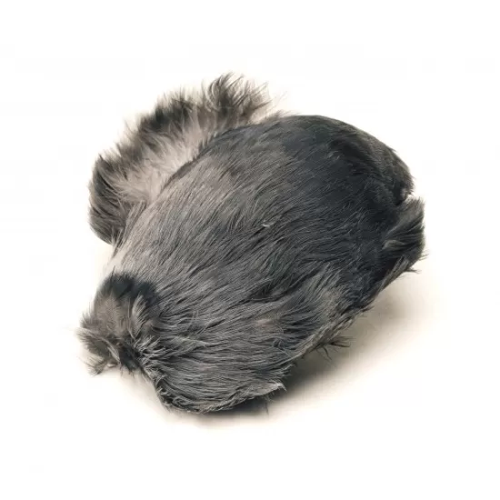 Jackdaw Scalp