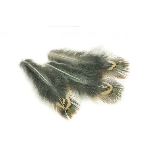 Cock Pheasant Green Back Hackles