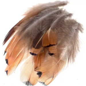 Cock Pheasant Gold Sides