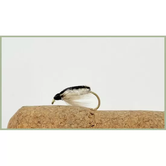 12 Nymph, Caenis,Corixa & Sawyers