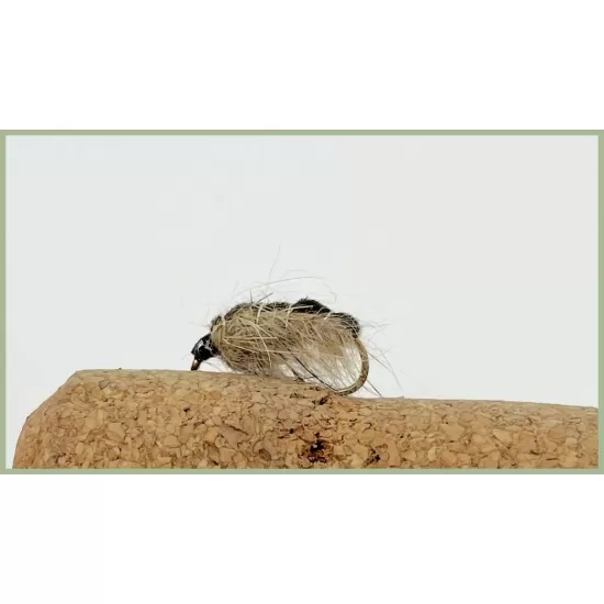 Hares Ear Semtex Bug