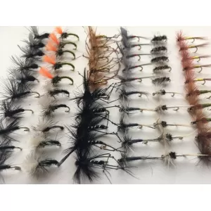 60 Popular Specific Patterns