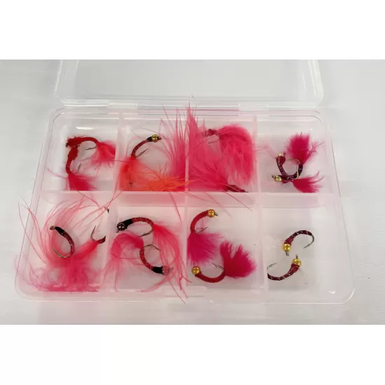 Comp Box - 16 Bloodworm