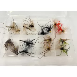 Comp Box - 16 Goldhead and Unweighted Daddies